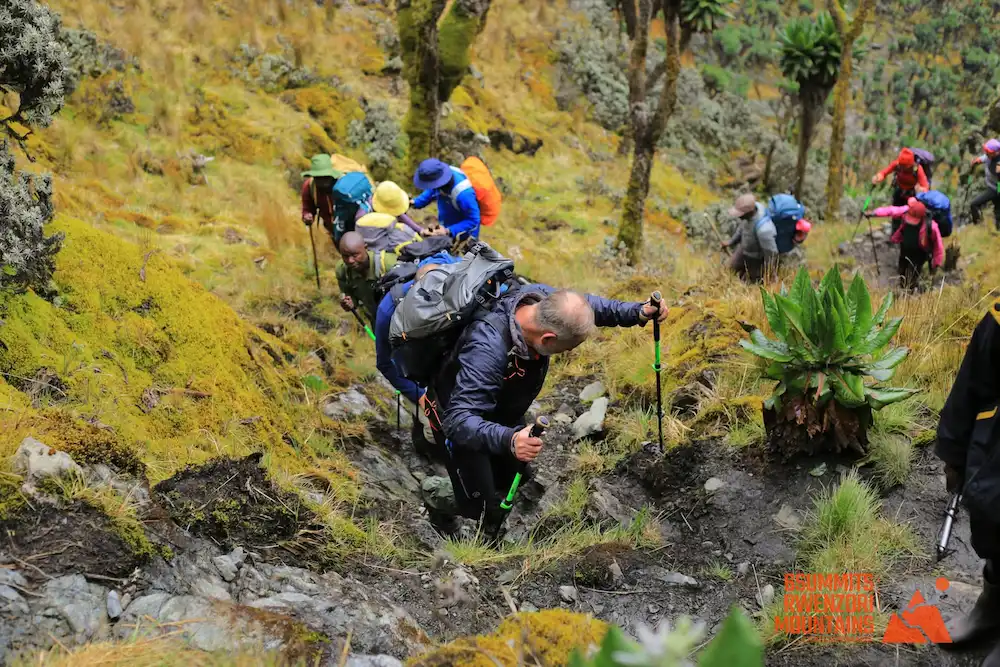 climbing rwenzori ranges watermarked