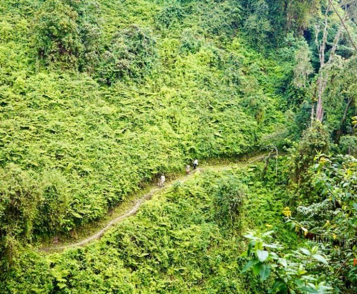 Rwenzori Trails