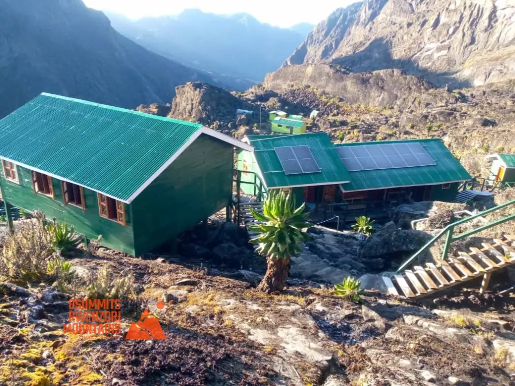 elena camp rwenzori