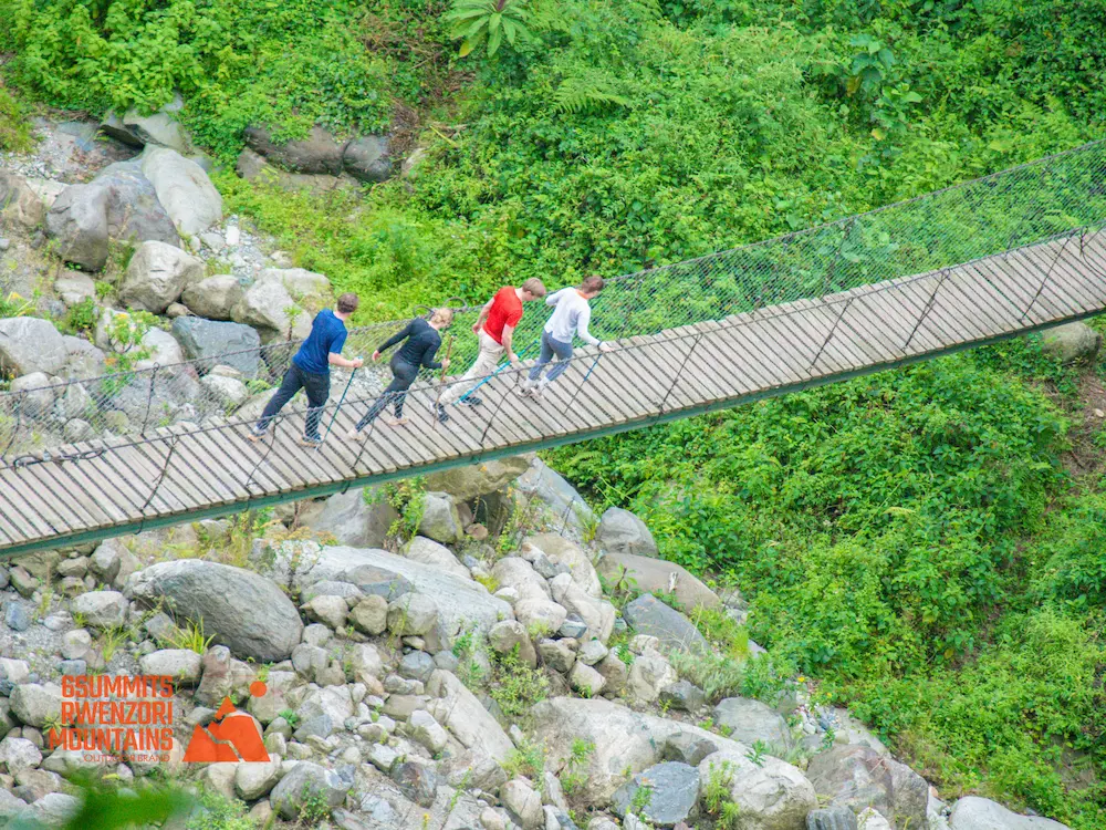 Wildlife Safaris uganda Nature Walks