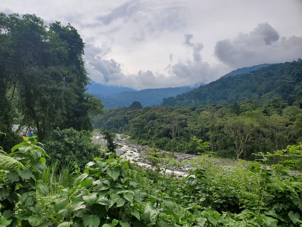 rwenzori views jj
