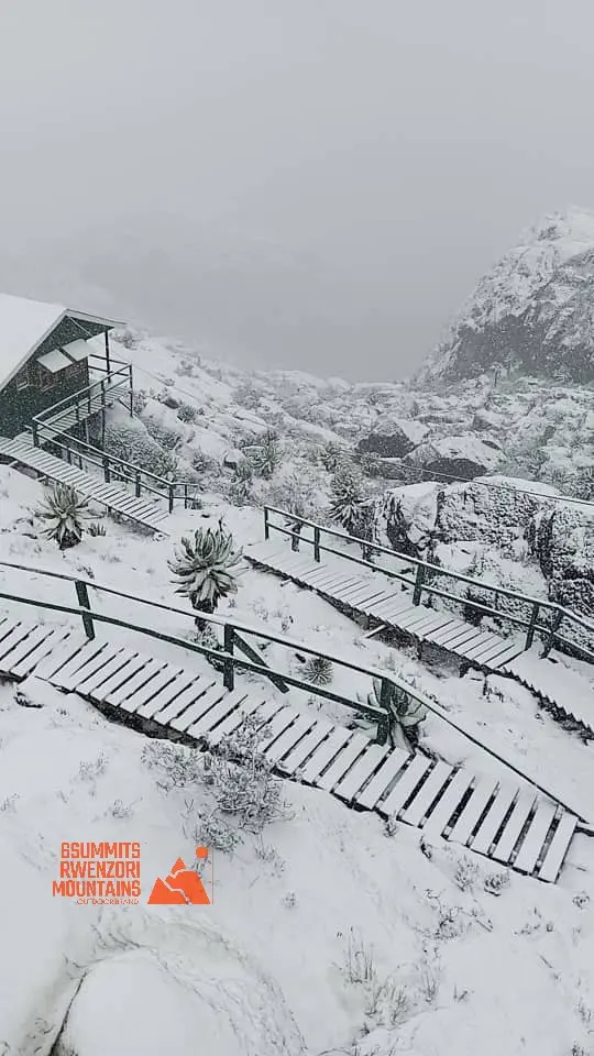 Misty Mountain Weather